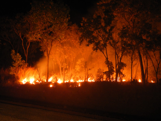 オーストラリアの山火事2